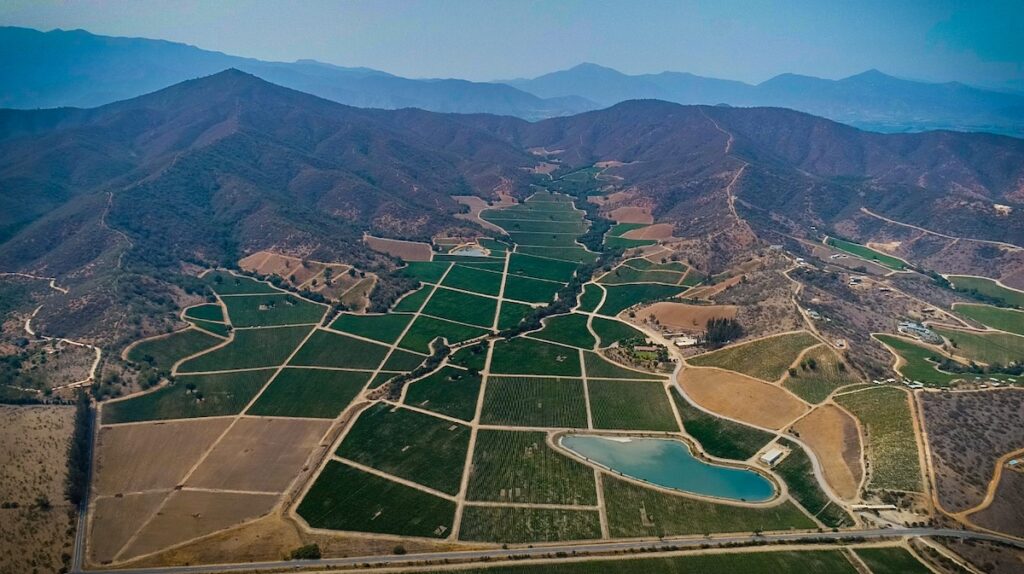 Campo Belen viinitila