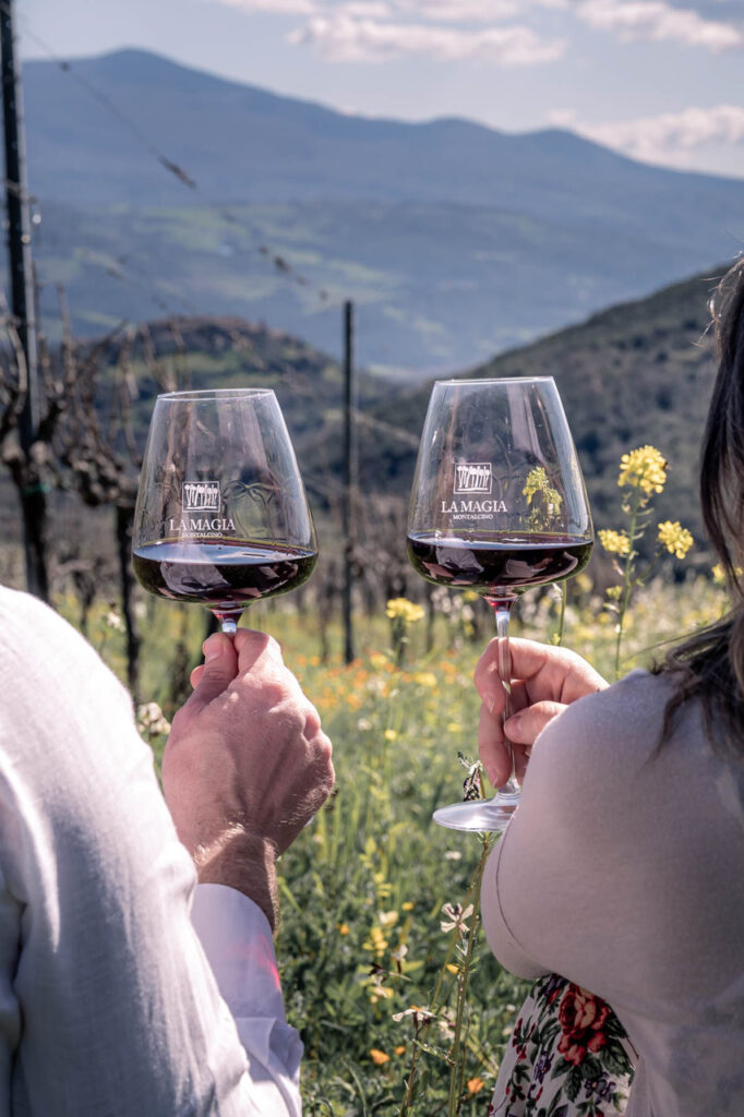 Kaksi viinilasia ihmisten käsissä, taustalla upeat korkeat ja jylhät vuoristo- ja laaksomaisemat.