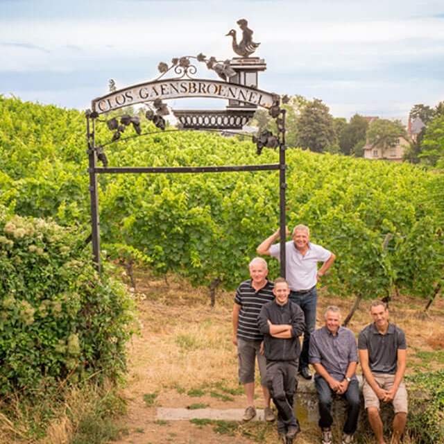 Willm Clos Gaensbroennel -tarha