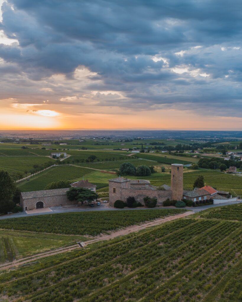 Ranskalainen viinitila ja 1100-luvulla rakennettu linna auringonlaskussa.