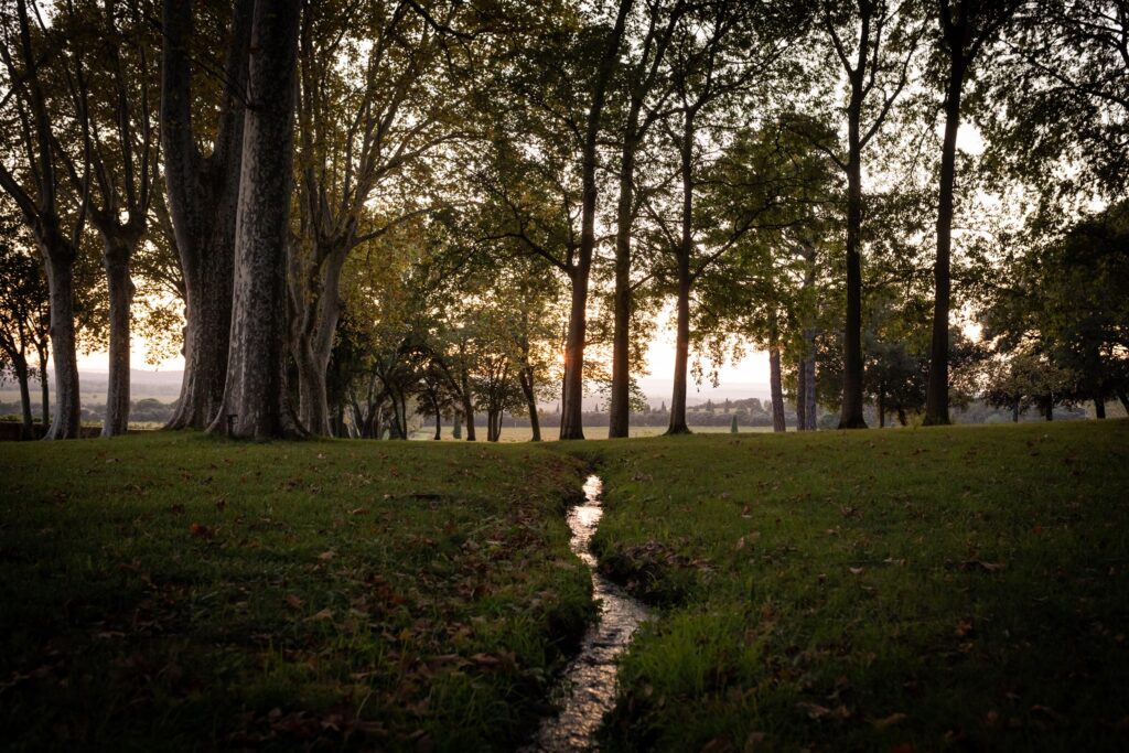 Tunnelmallinen maisemakuva Châteauneuf-du-Papen alueelta: puro korkeiden puiden ja vehreän tasangon ympäröimänä auringonlaskussa