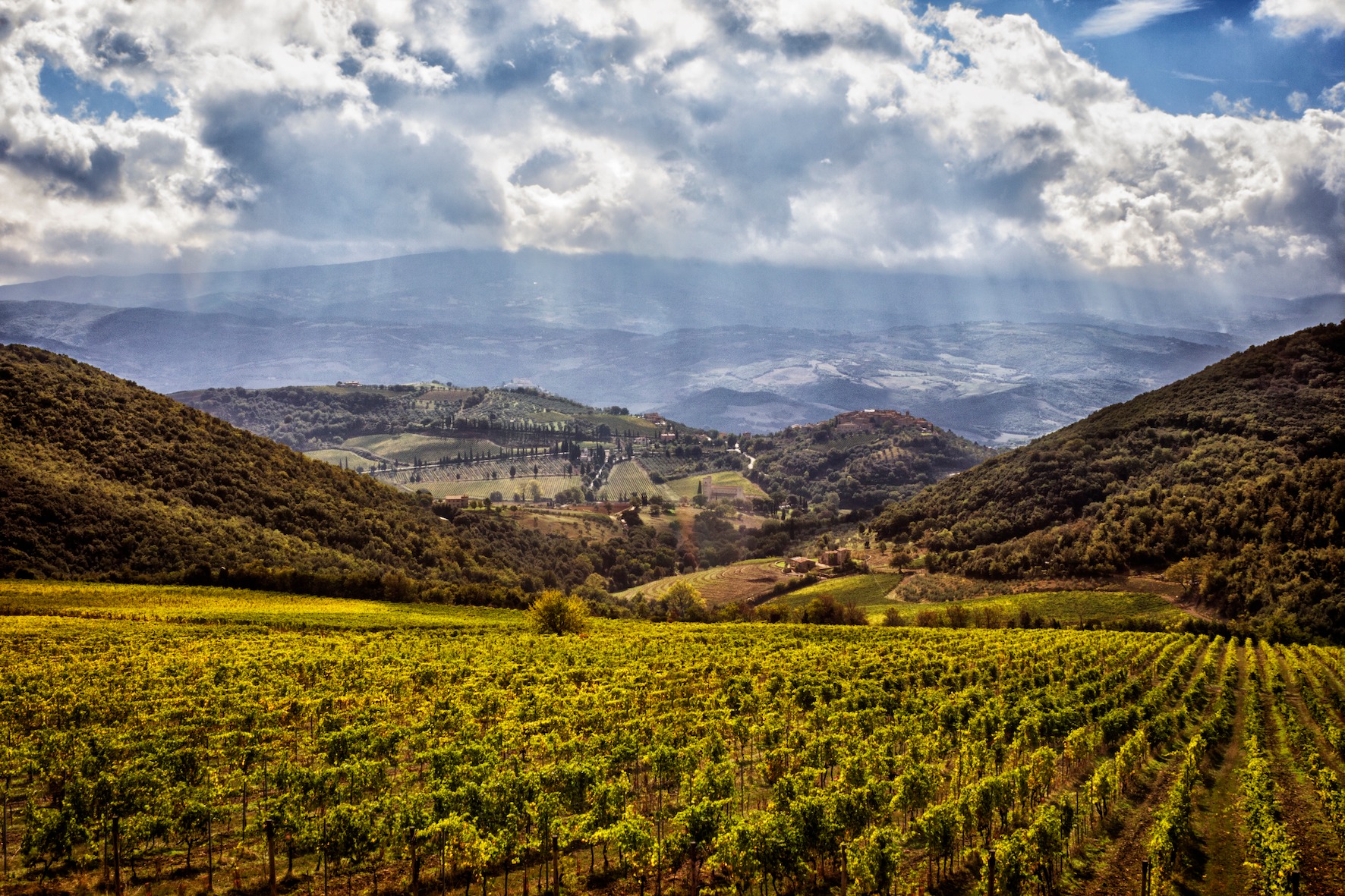 Upea korkeilta vuorilta alaspäin laaksoon kuvattu maisemakuva, jossa paljon kukkuloita, etualalla vehreitä viiniviljelmiä, jotka jatkuvat kauas silmän kantamattomiin. Aurinko säteilee pilvien välistä.