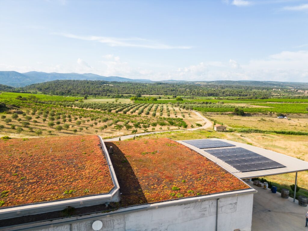 Kuvassa vehreää viinialuetta viinitarhoineen, sininen taivas ja etualallla betoninen rakennus viherkatolla ja aurinkopaneeleilla.