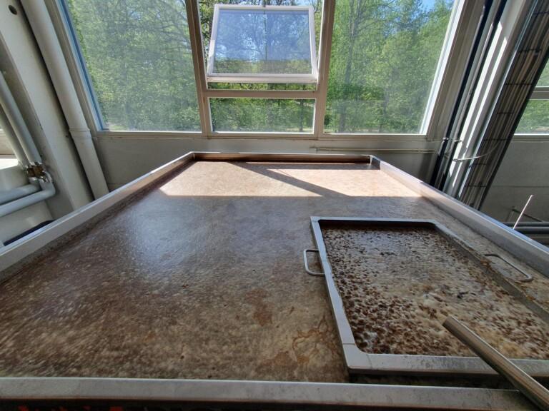 Koelschip-altaassa bakteeria käyttämässä villihiivaolutta.